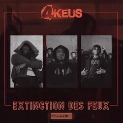 Cover of Extinction des feux