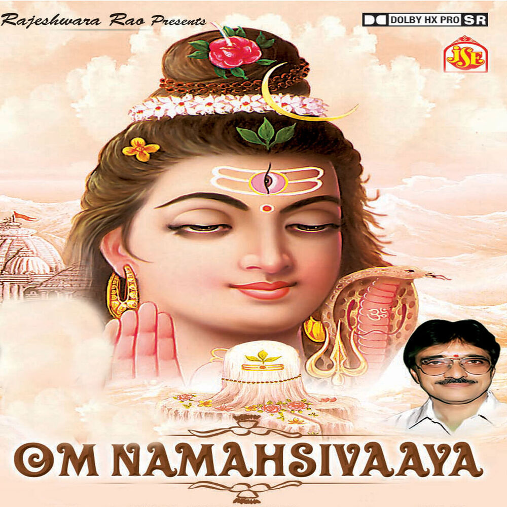 Picture of Om Namahsivaaya