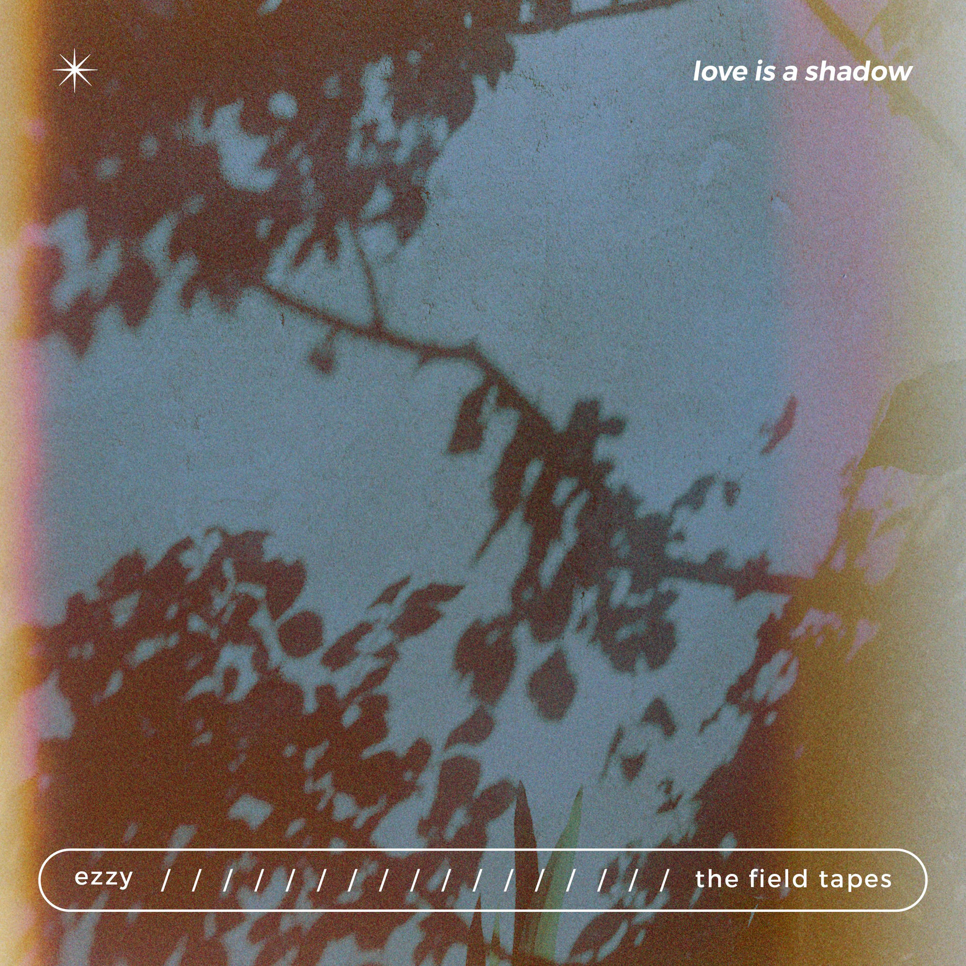 Album cover of love is a shadow