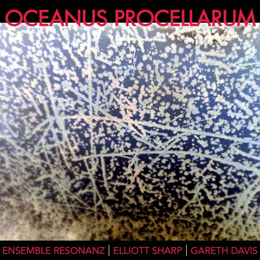 Picture of Oceanus Procellarum