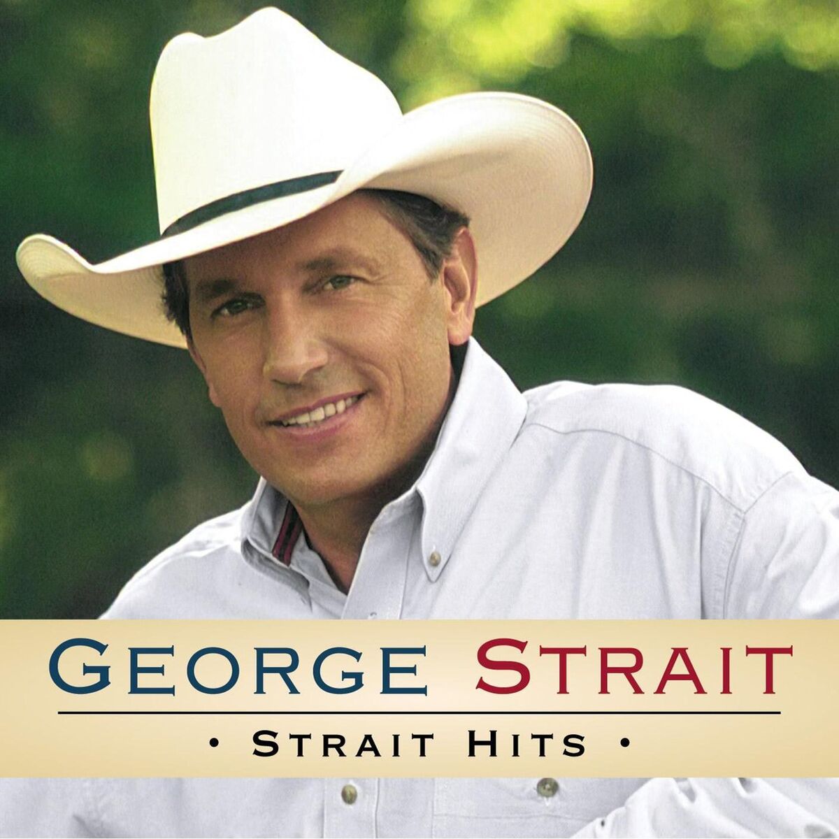 Album cover of Strait Hits