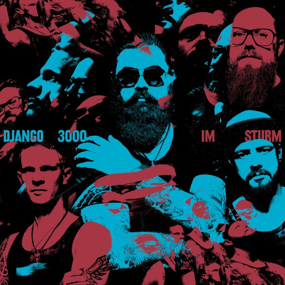 Album cover of Im Sturm
