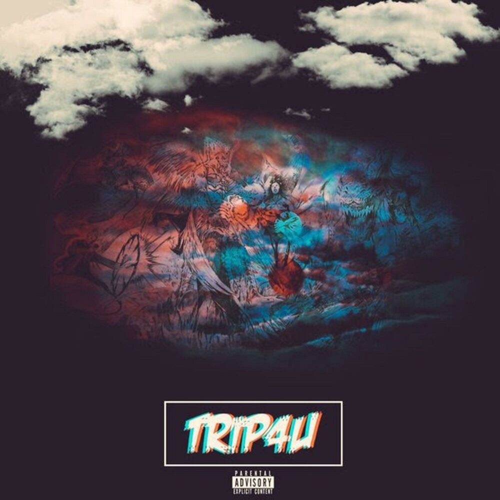 Picture of Trip4u