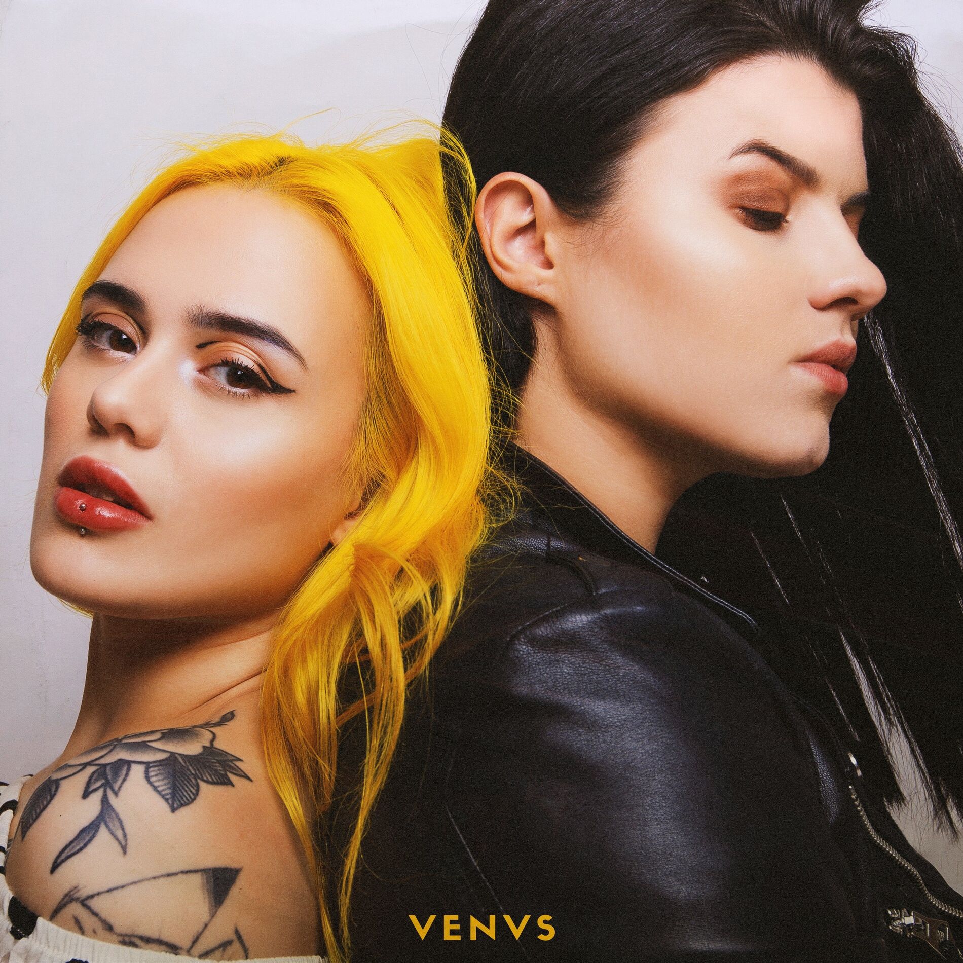 Album cover of Venvs