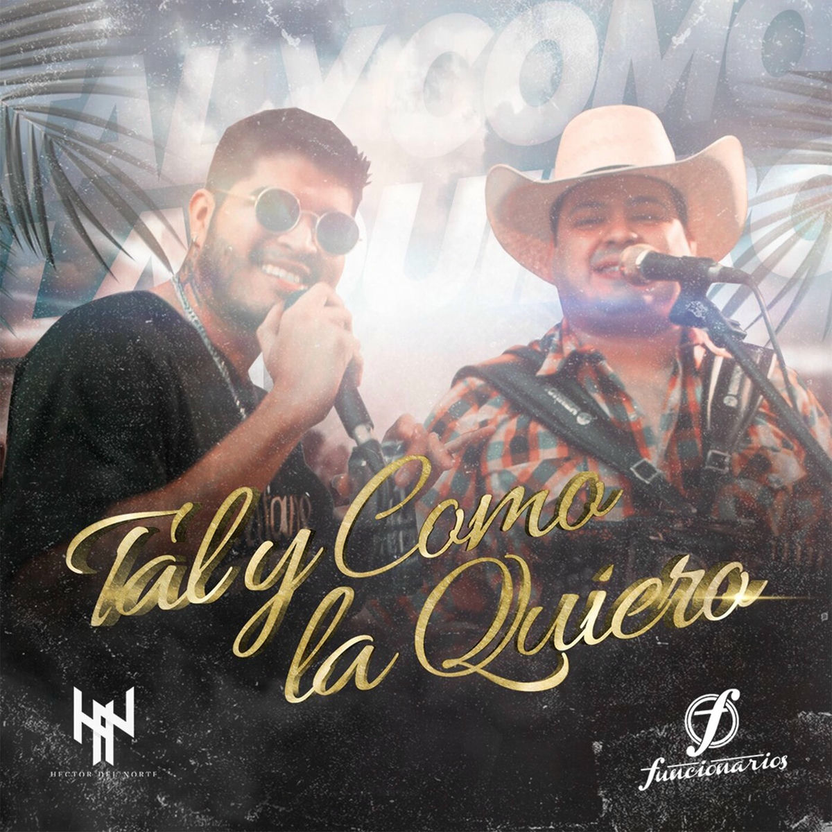 Album cover of Tal y Como la Quiero