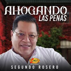 Cover of Ahogando las Penas