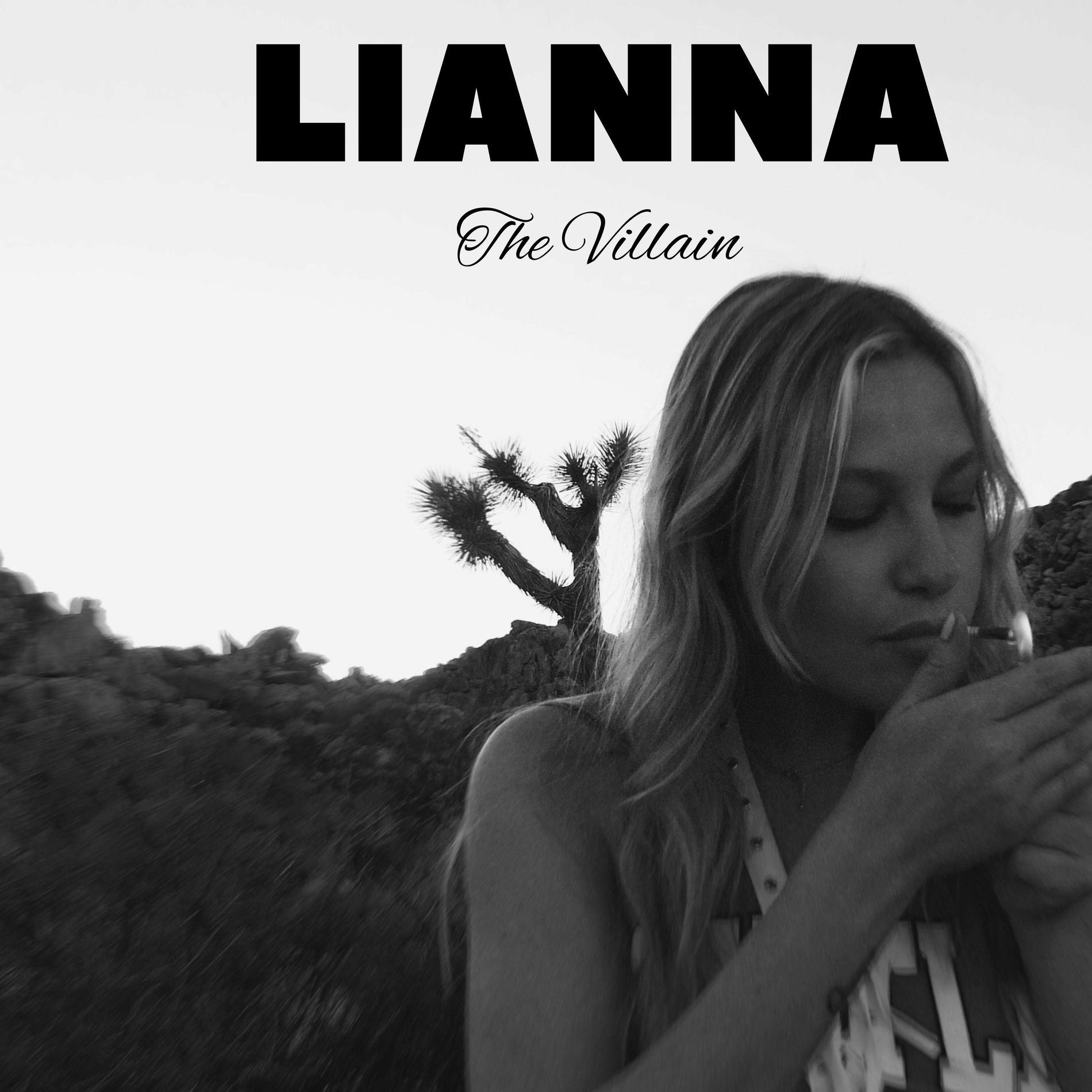 Album cover of The Villain