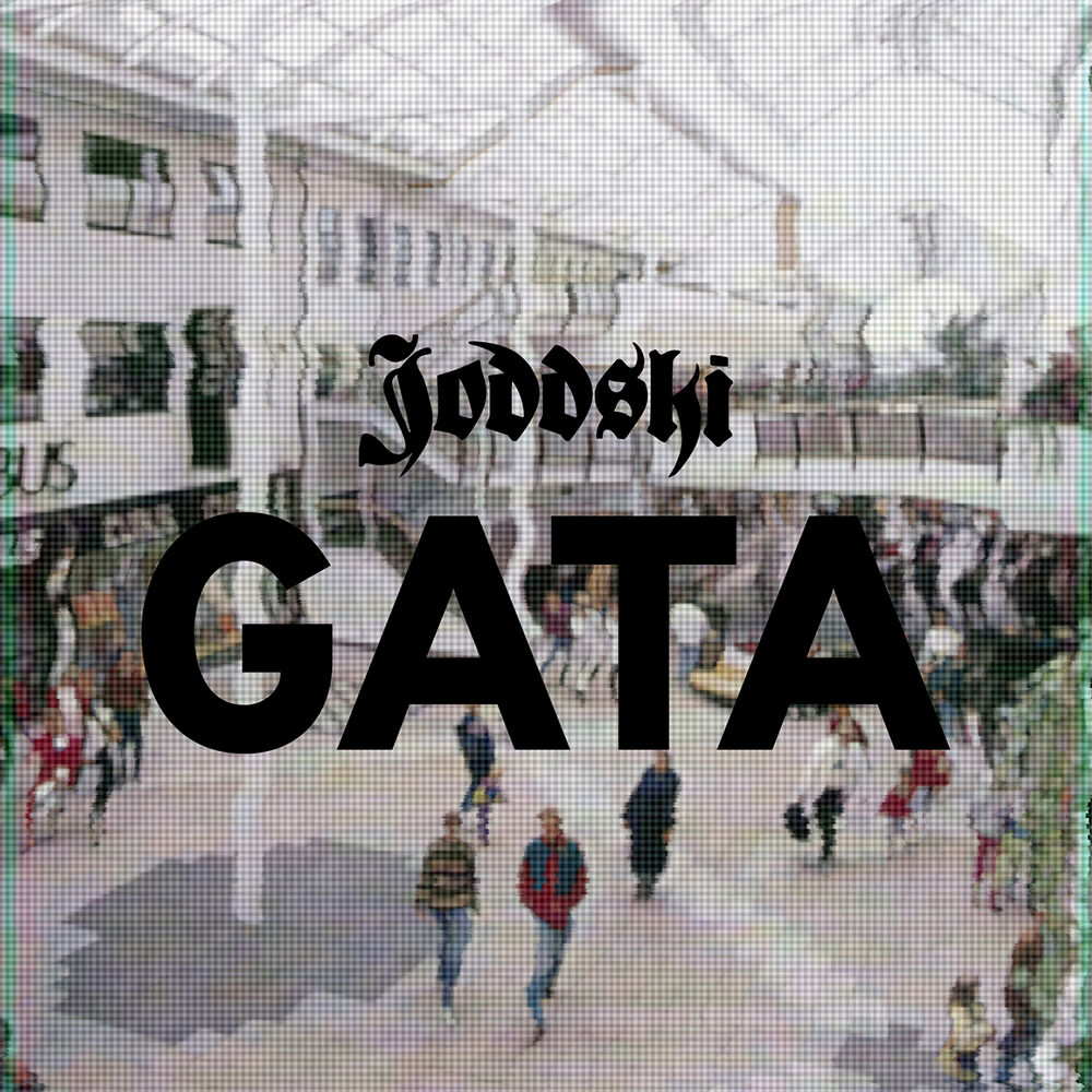 Picture of Gata