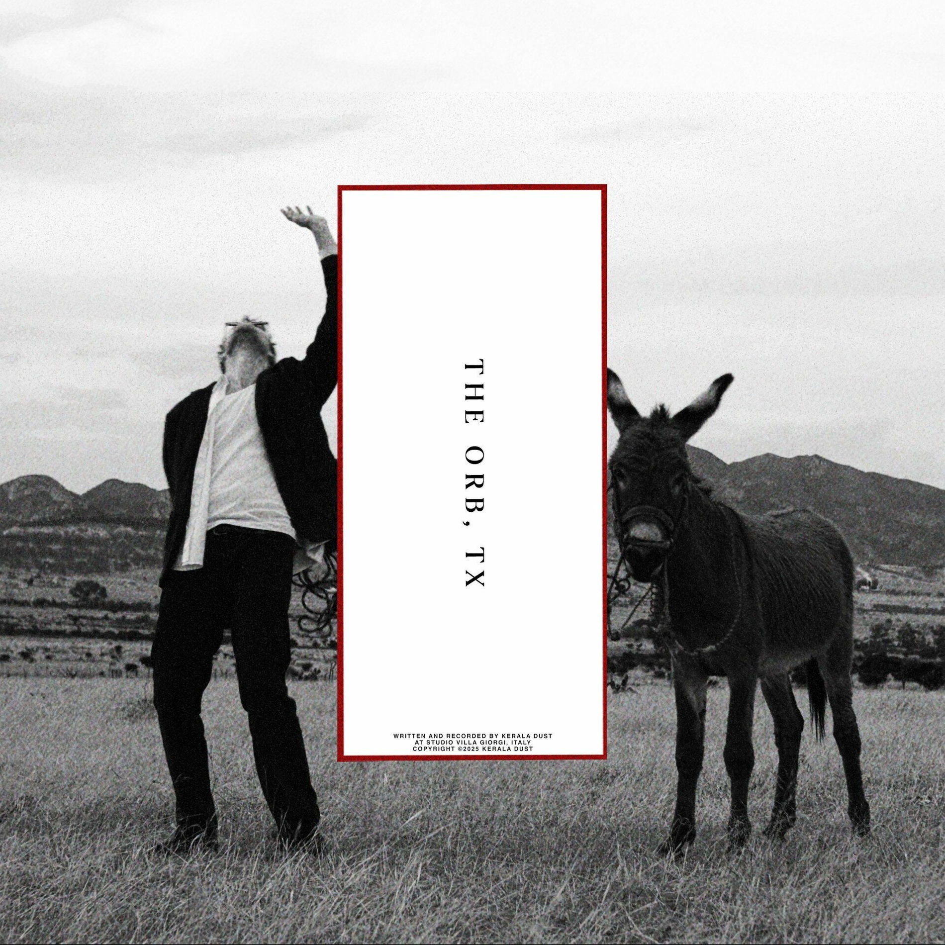 Album cover of The Orb, TX