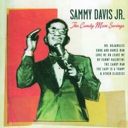 Cover of The Candy Man Swings