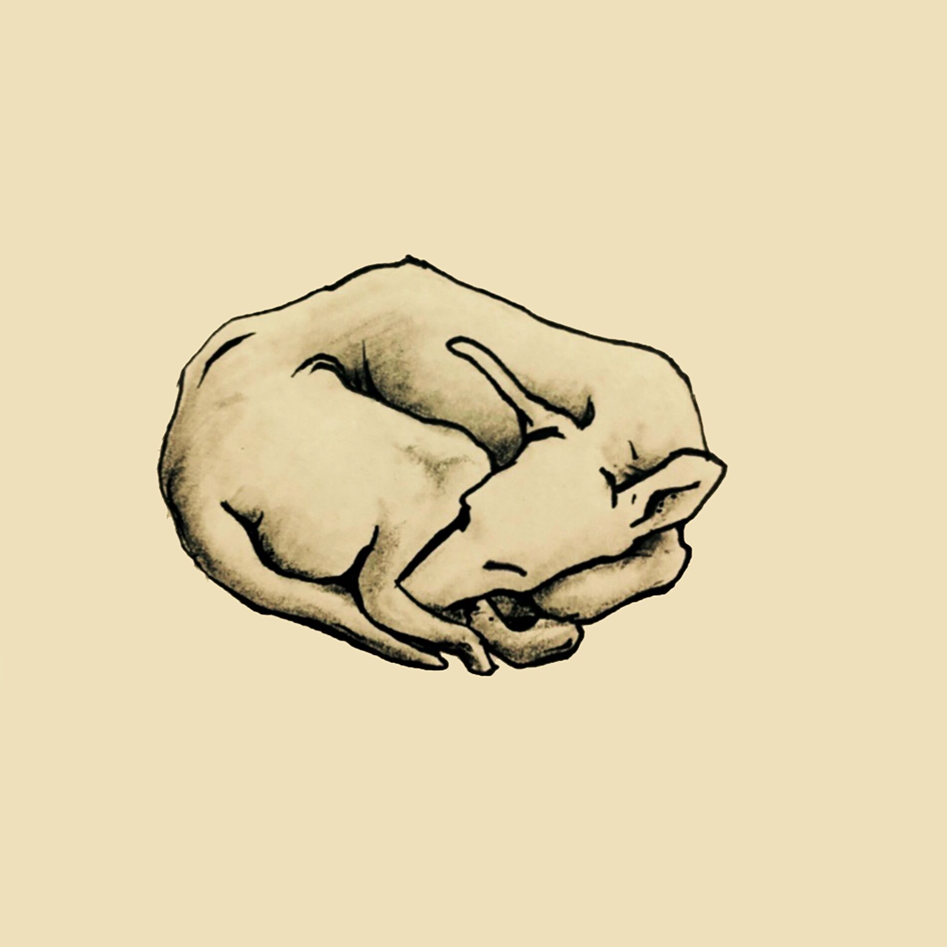 Album cover of Ofelia