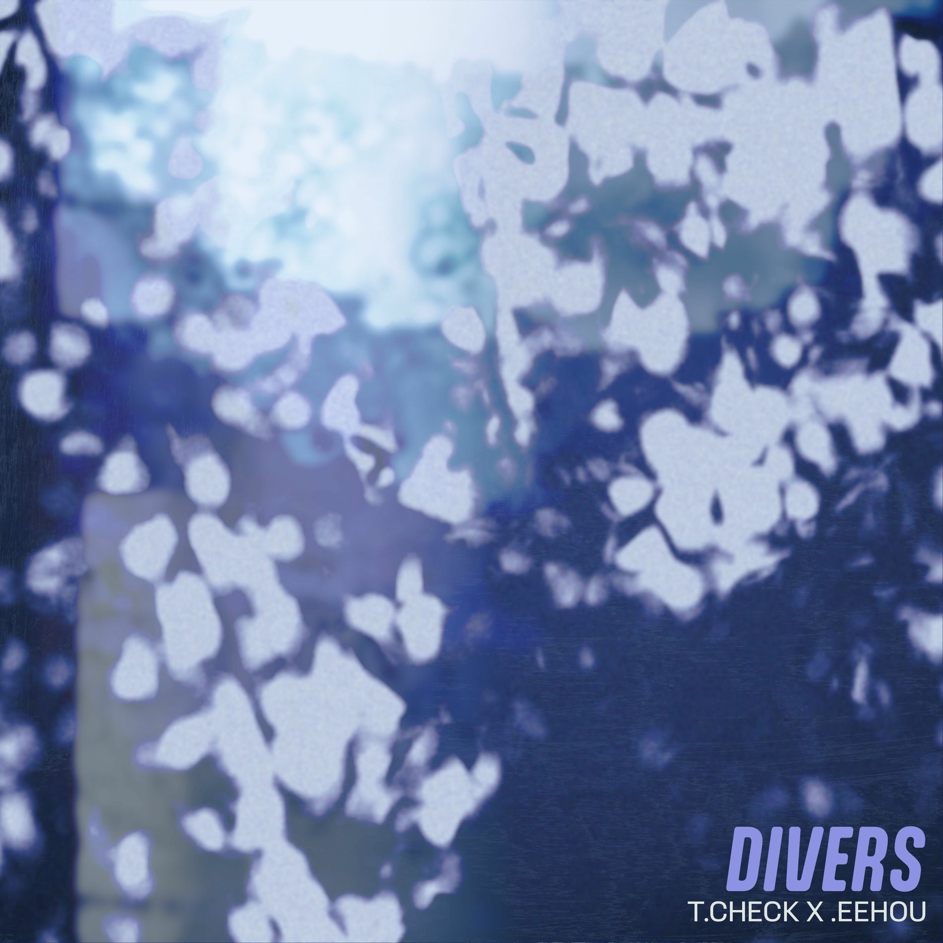Album cover of Divers
