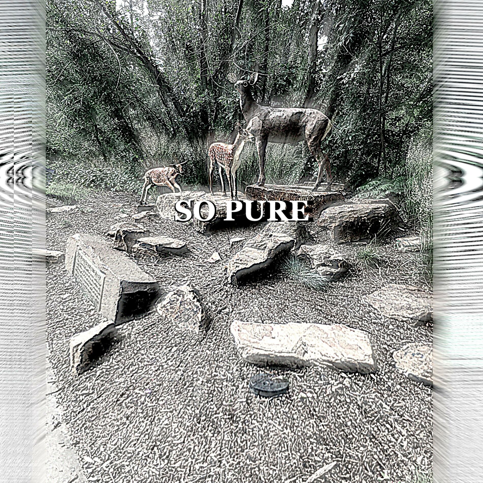 Album cover of So Pure (feat. Donor)