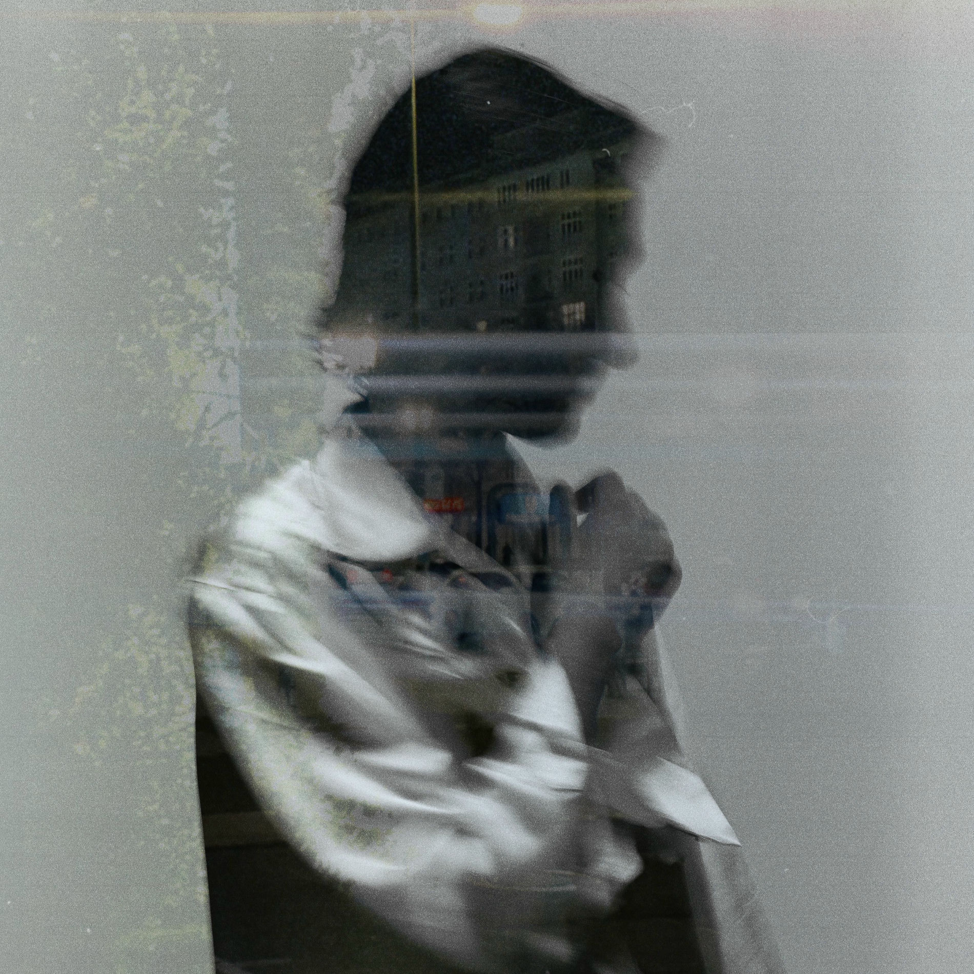 Album cover of Shapeshift