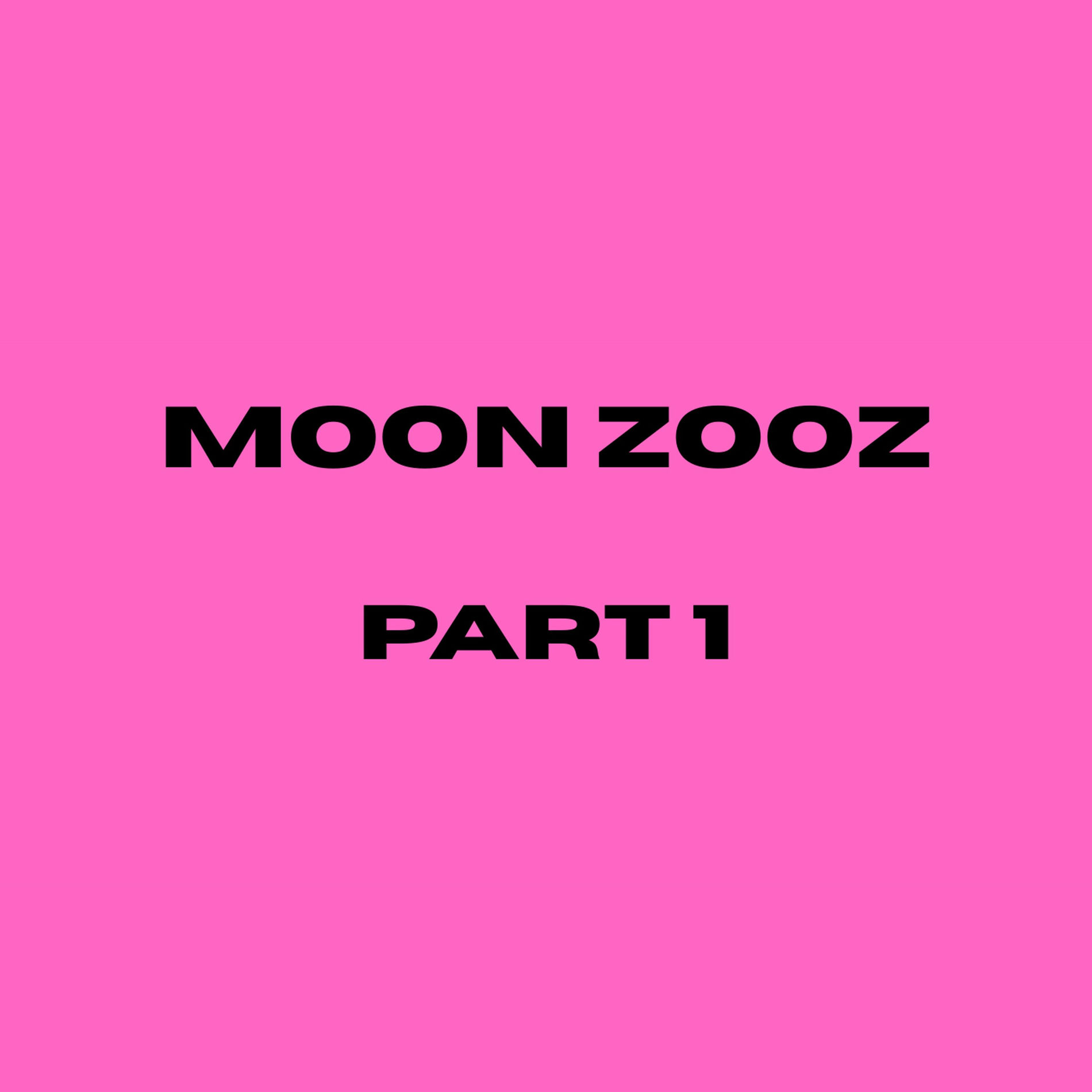 Album cover of Moon Zooz, Pt. 1