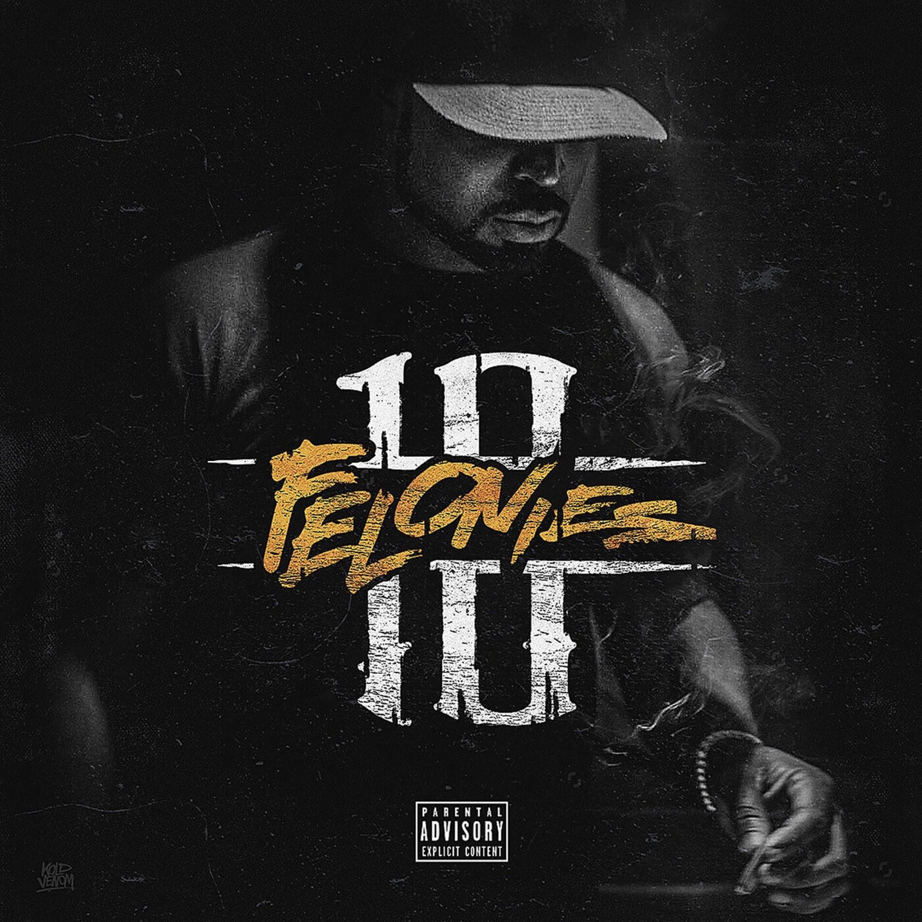 Album cover of 10 Felonies