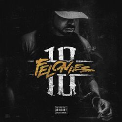 Cover of 10 Felonies