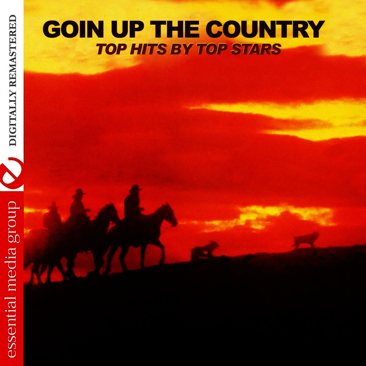 Album cover of Goin' Up The Country - Top Hits By Top Stars (Remastered)
