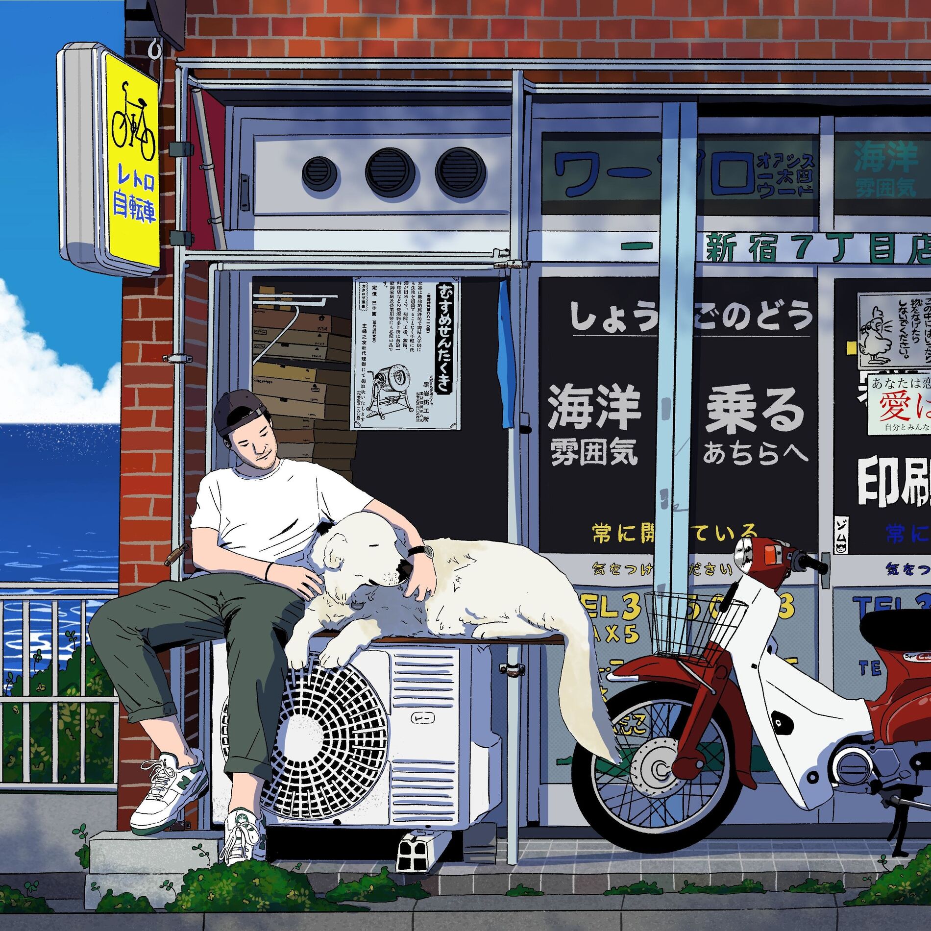 Album cover of nova