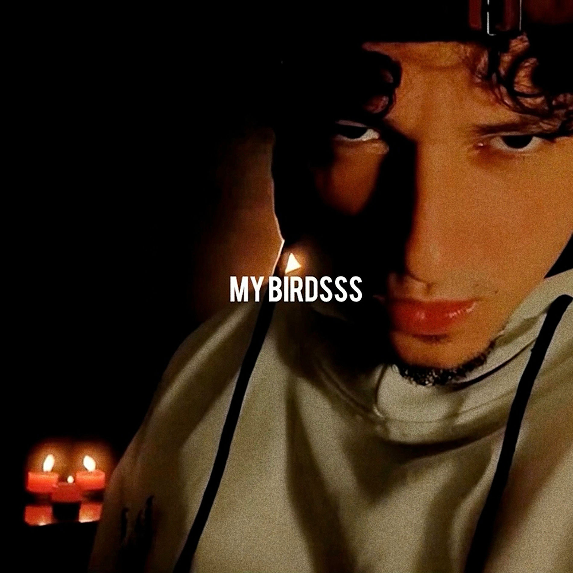 Album cover of My Birdsss