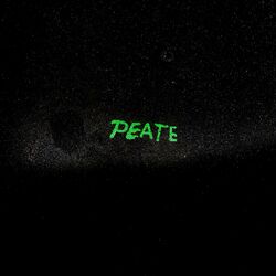 Cover of PEATE