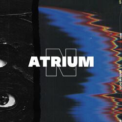 Cover of NATRIUM