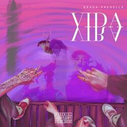 Cover of Vida Vira