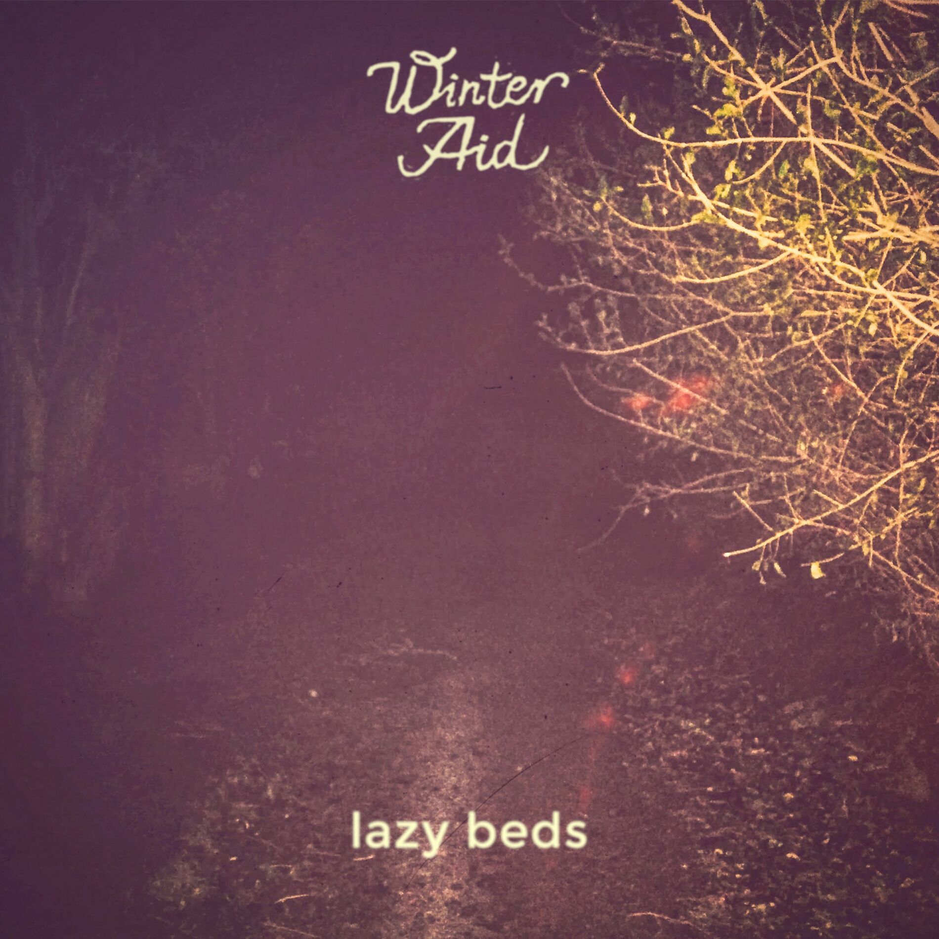 Album cover of Lazy Beds