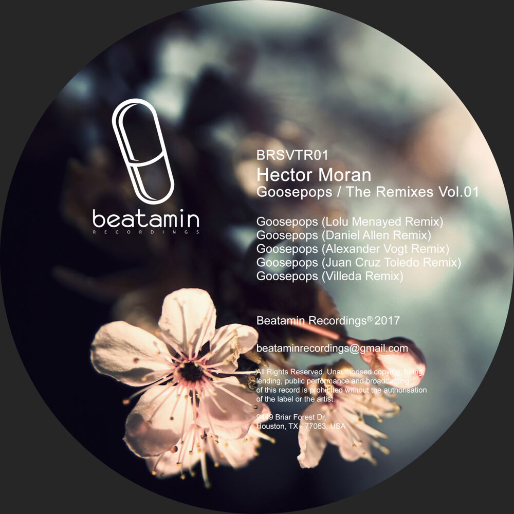 Picture of GOOSEPOPS the Remixes 01