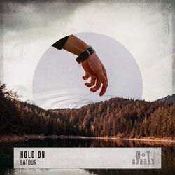 Cover of Hold On (To Love)