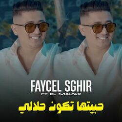 Cover of حبيتها تكون حلالي