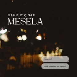 Cover of Mesela