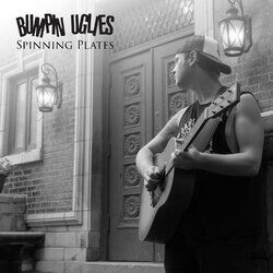 Cover of spinning plates
