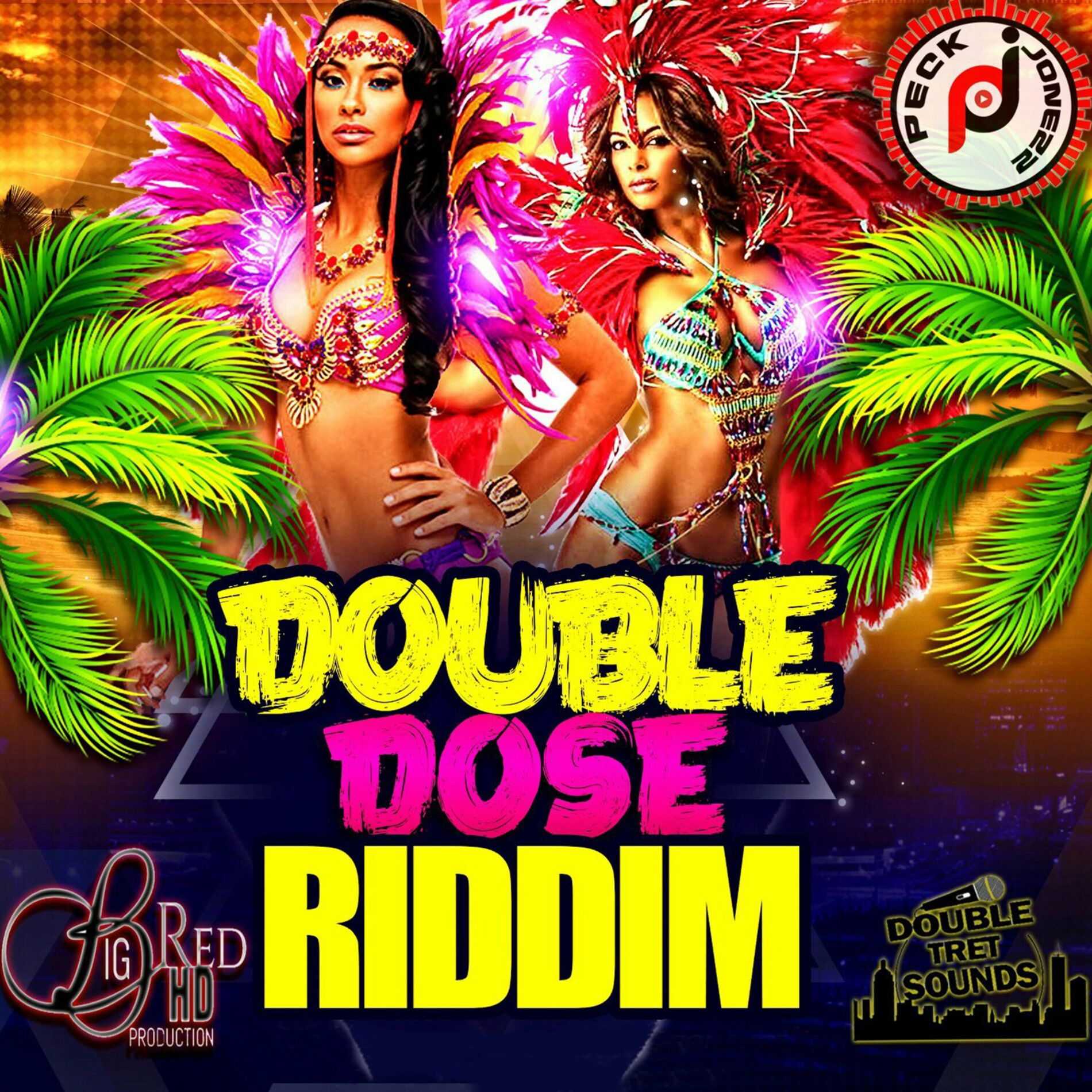 Album cover of Double Dose Riddim