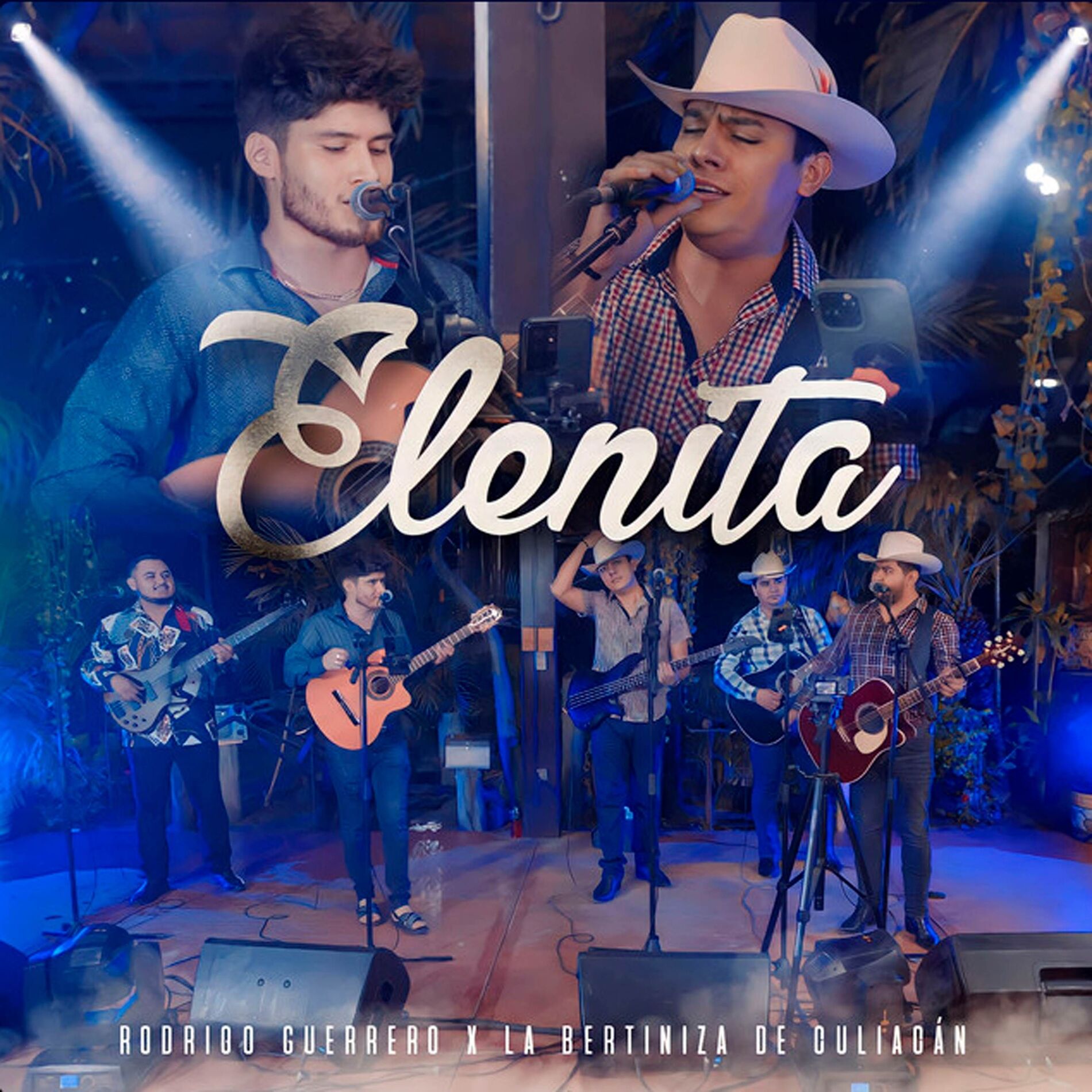 Album cover of Elenita (En Vivo)