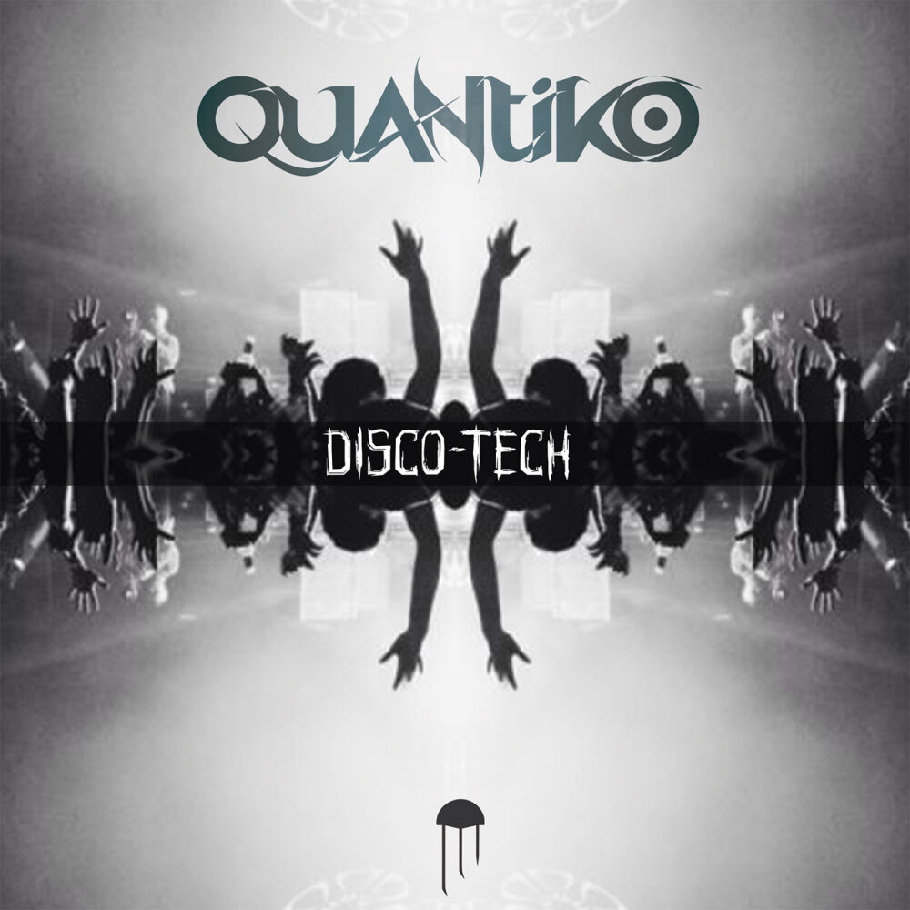 Picture of DiscoTech