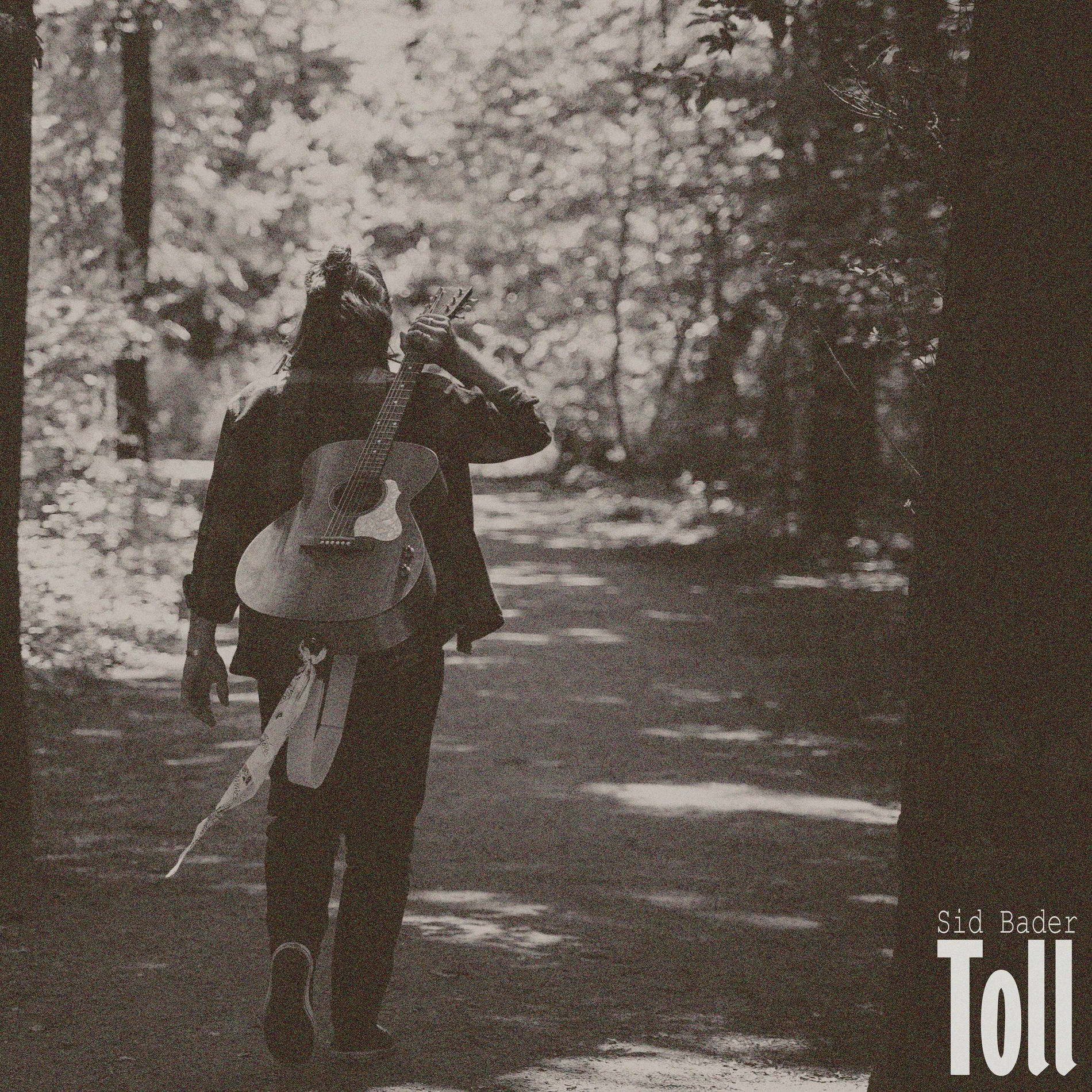 Album cover of Toll