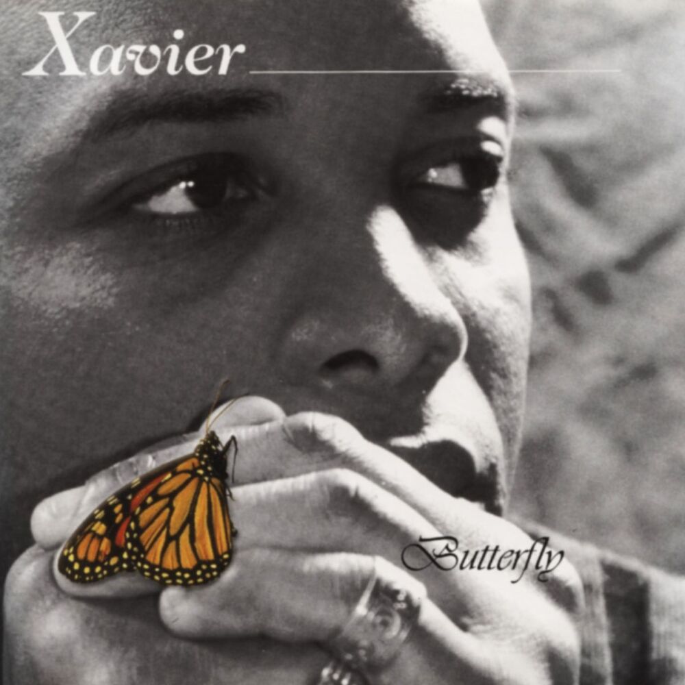 Picture of Butterfly