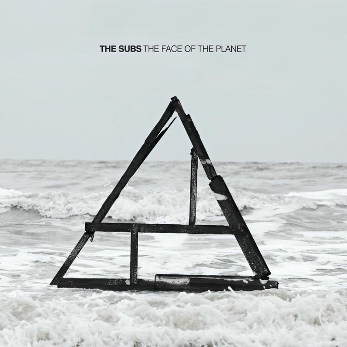 Album cover of The Face Of The Planet