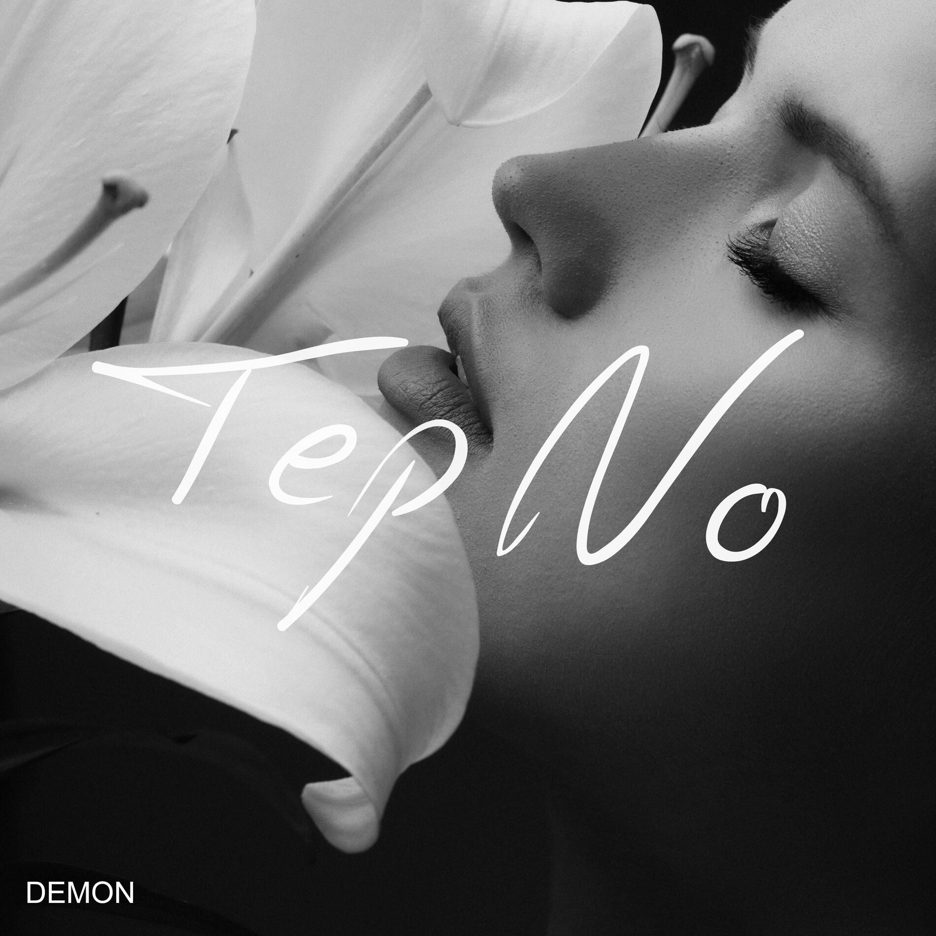 Album cover of Demon
