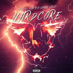 Cover of hardcore