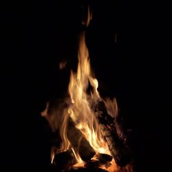 Cover of Feuer