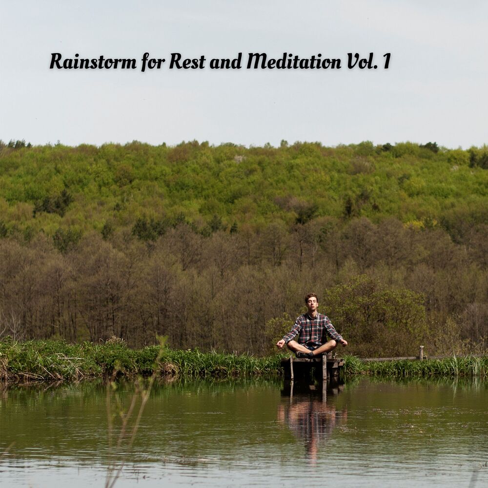 Picture of Rainstorm for Rest and Meditation Vol. 1