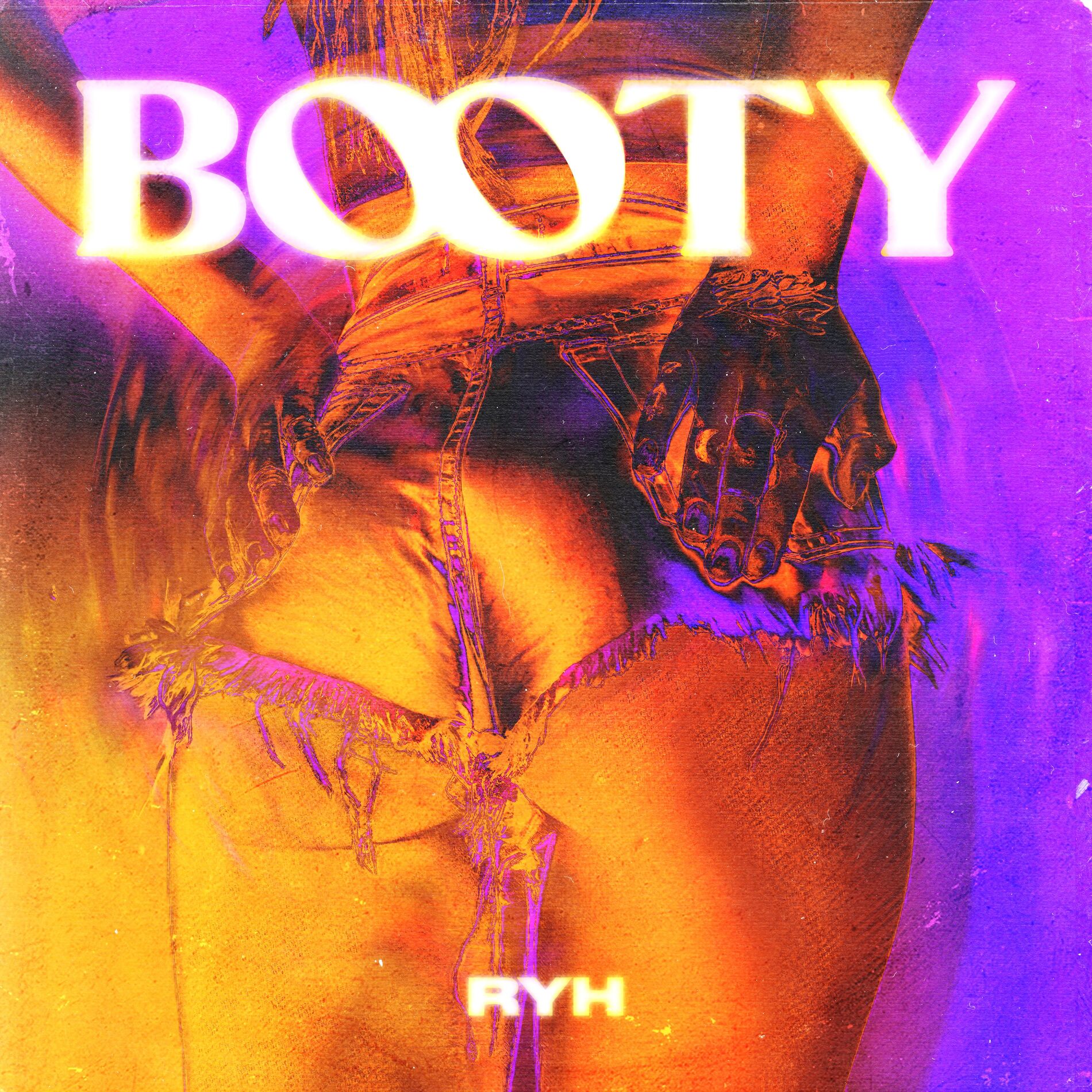 Album cover of BOOTY