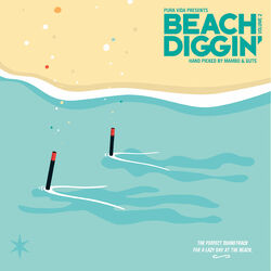 Cover of Beach Diggin', Vol. 2
