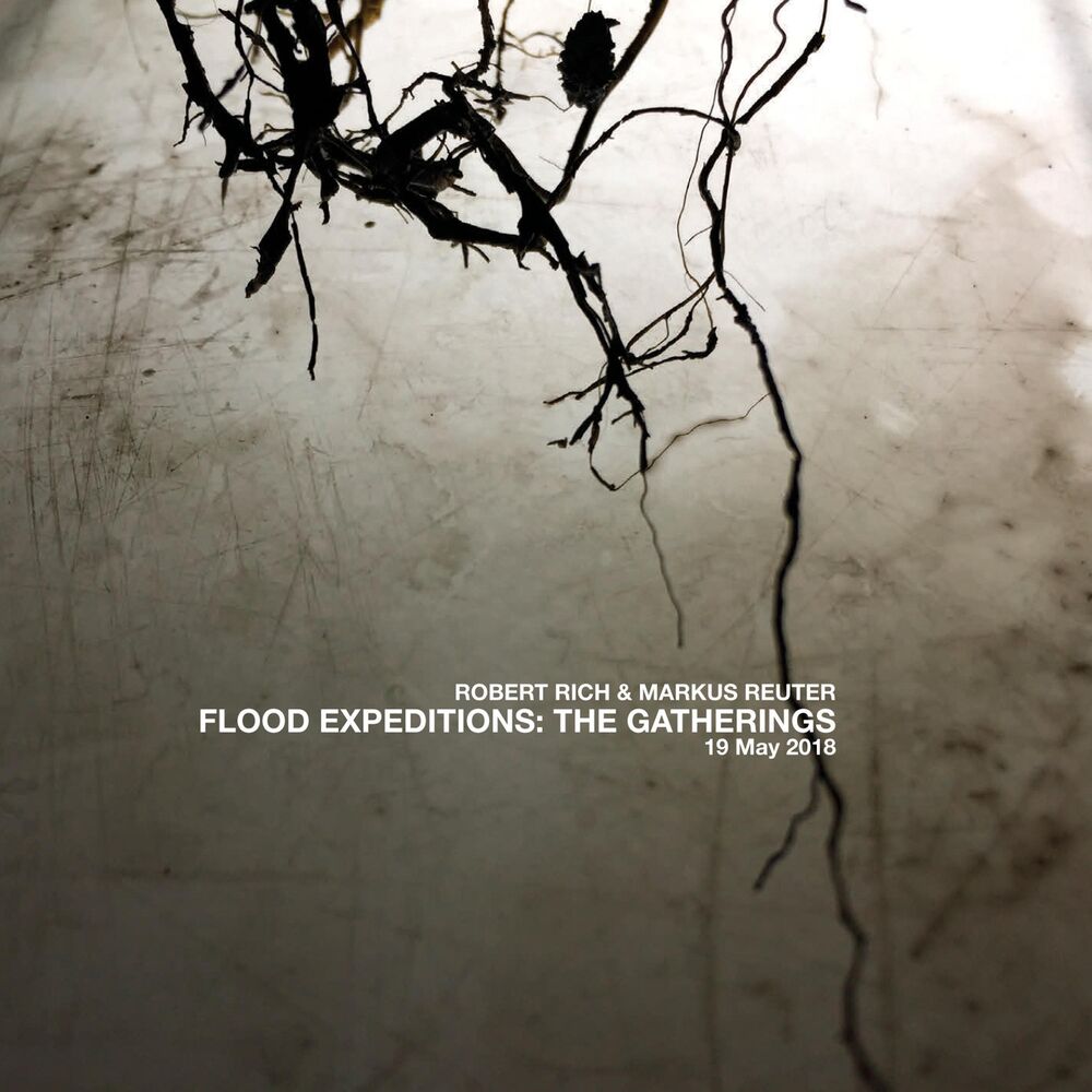 Picture of Flood Expeditions: The Gatherings, 19 May 2018