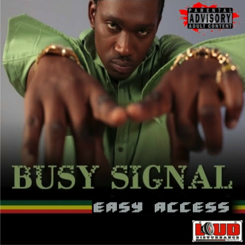 お取り寄せ】 レアなダンスホール！Busy Signal / HUSLING