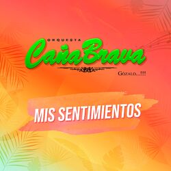Cover of Mis Sentimientos