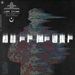 Cover of do it right