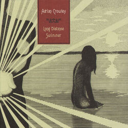 Cover of Long Distance Swimmer